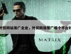 外贸网站推广企业，外贸网络推广哪个平台好