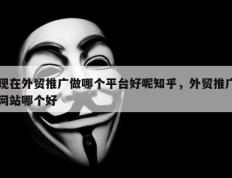 现在外贸推广做哪个平台好呢知乎，外贸推广网站哪个好