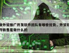 做外贸推广开发软件团队有哪些优势，外贸软件销售是做什么的