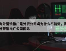 海外营销推广是外贸公司吗为什么不能做，海外营销推广公司网站