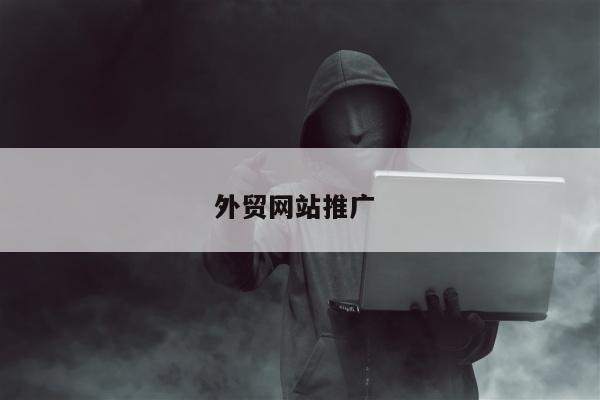 外贸网站推广 